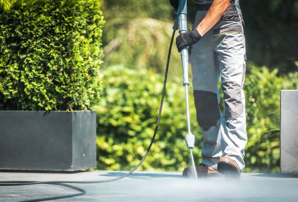 Best Rust Removal  in Tazewell, TN
